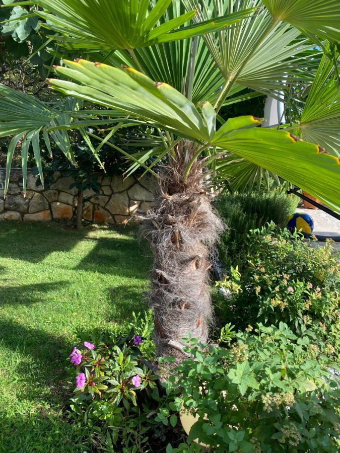 Villa Androcec Zgaljic Dış mekan fotoğraf